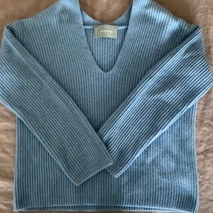 Everlane blue ribbed sweater